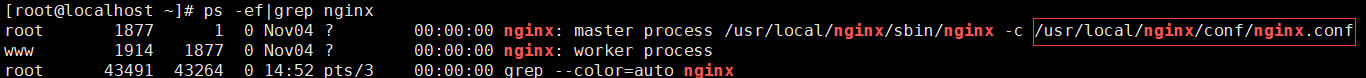 nginx配置文件