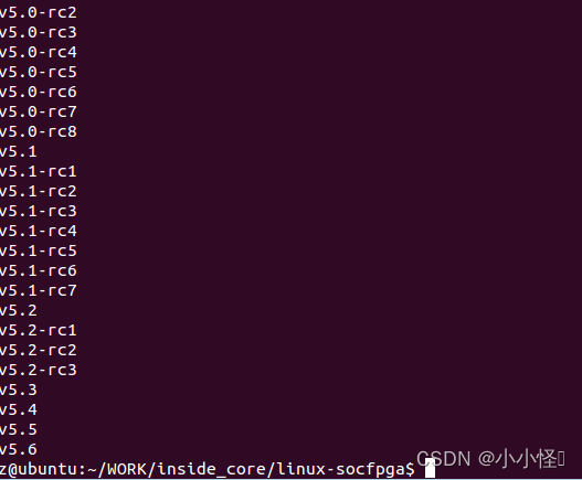 SoC学习篇—Linux 系统搭建-CSDN博客