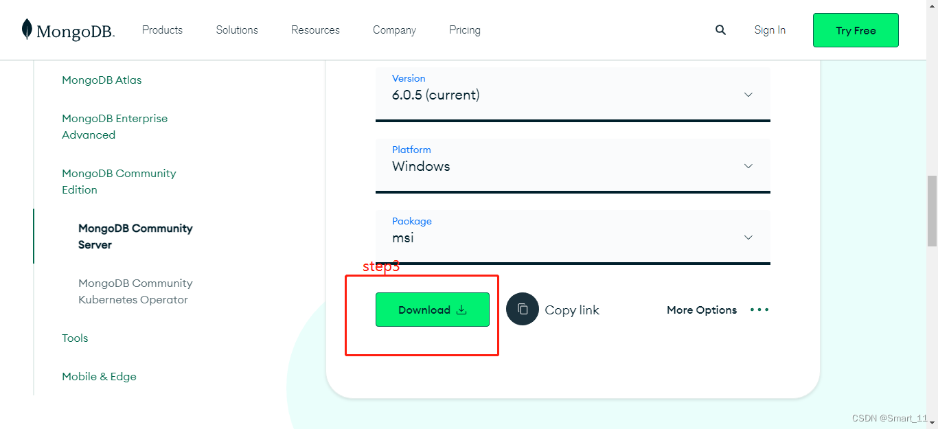 MongoDB+可视化界面（Robo 3T）的下载和安装_robo3t下载-CSDN博客