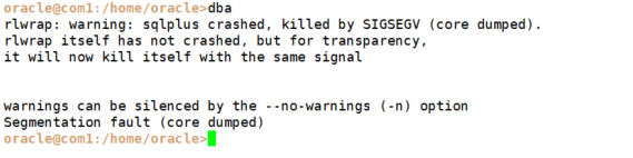 Segmentation fault(core dumped)