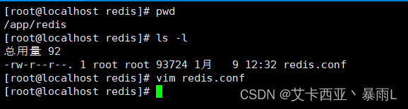 redis.conf文件模板拷贝