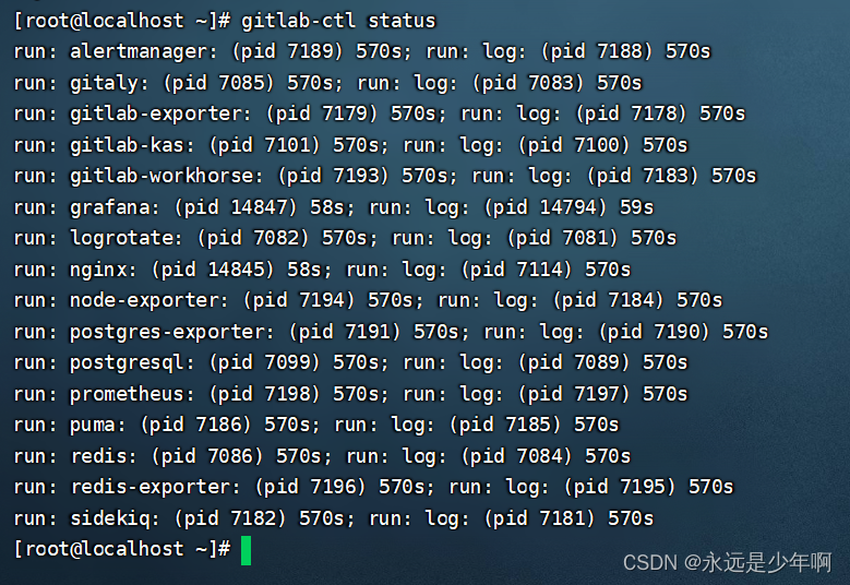 CICD详解(八)——gitlab安装与配置_ci cd配置-CSDN博客