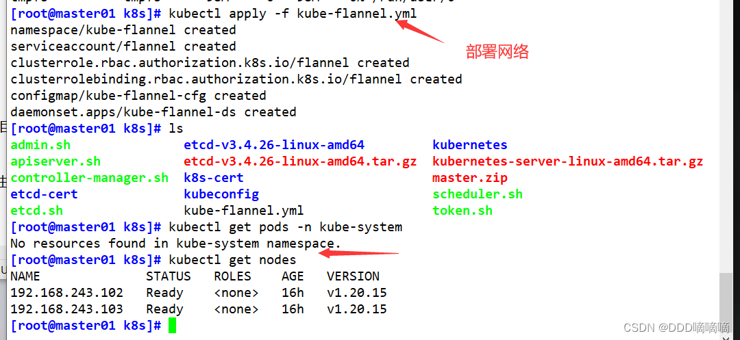 【云原生】K8S二进制搭建二：部署CNI网络组件