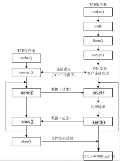 tcp网络应用程序的开发流程