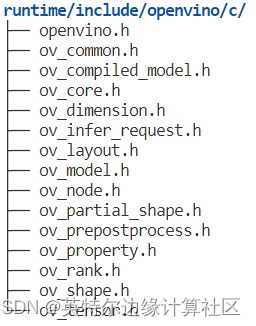 OpenVINO 的 C API 2.0 有何新特性？