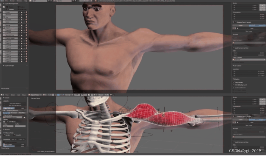 Blender插件：Muscle System