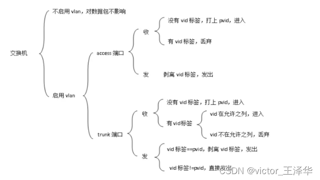 access与trunk详细解析+区别