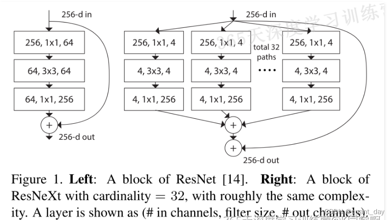 深度学习-第J6周：ResNeXt-50实战解析_ecaresnext50-CSDN博客