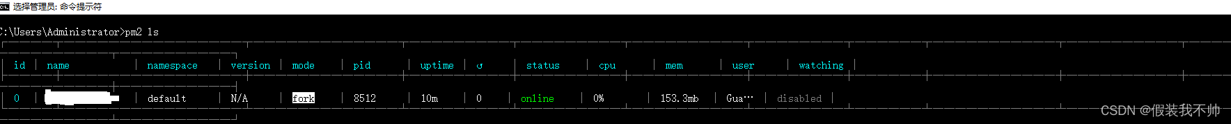 pm2 运行springboot项目