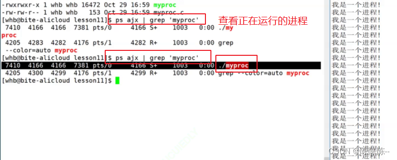 ここに画像の説明を挿入