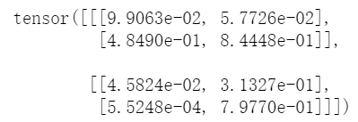 permute pytorch