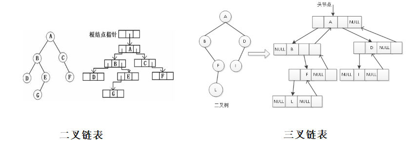 [数据结构]什么是树？什么是二叉树？