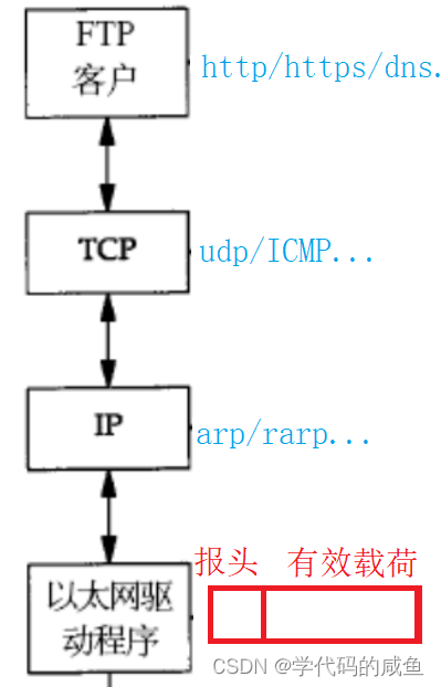 网络的基础介绍