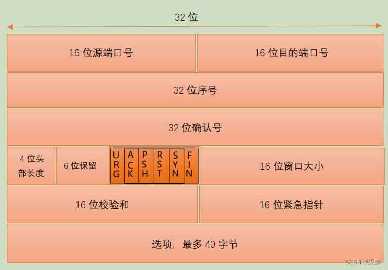 计算机网络基础