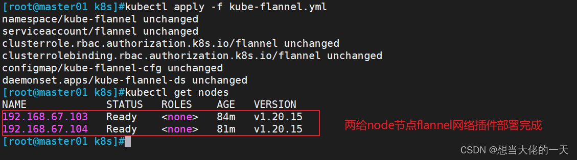 [云原生案例2.1 ] Kubernetes的部署安装 【单master集群架构 ---- （二进制安装部署）】