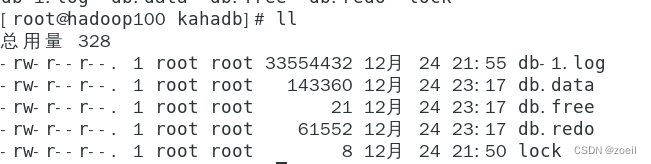 ActiveMQ的消息存储和持久化