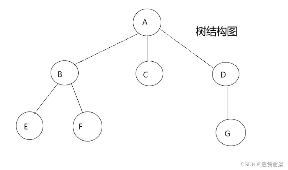 软考——数据结构知识点2——树_软考 树结构-CSDN博客