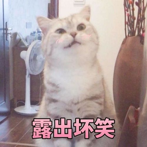 l露出坏笑