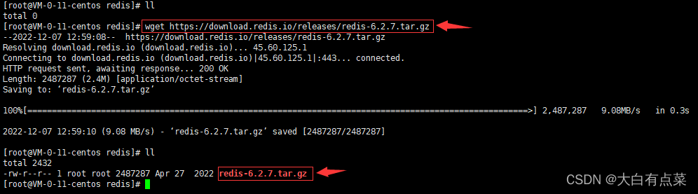 wget ダウンロード redis インストール パッケージ