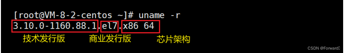 Linux常见基本指令合集及其效果展示