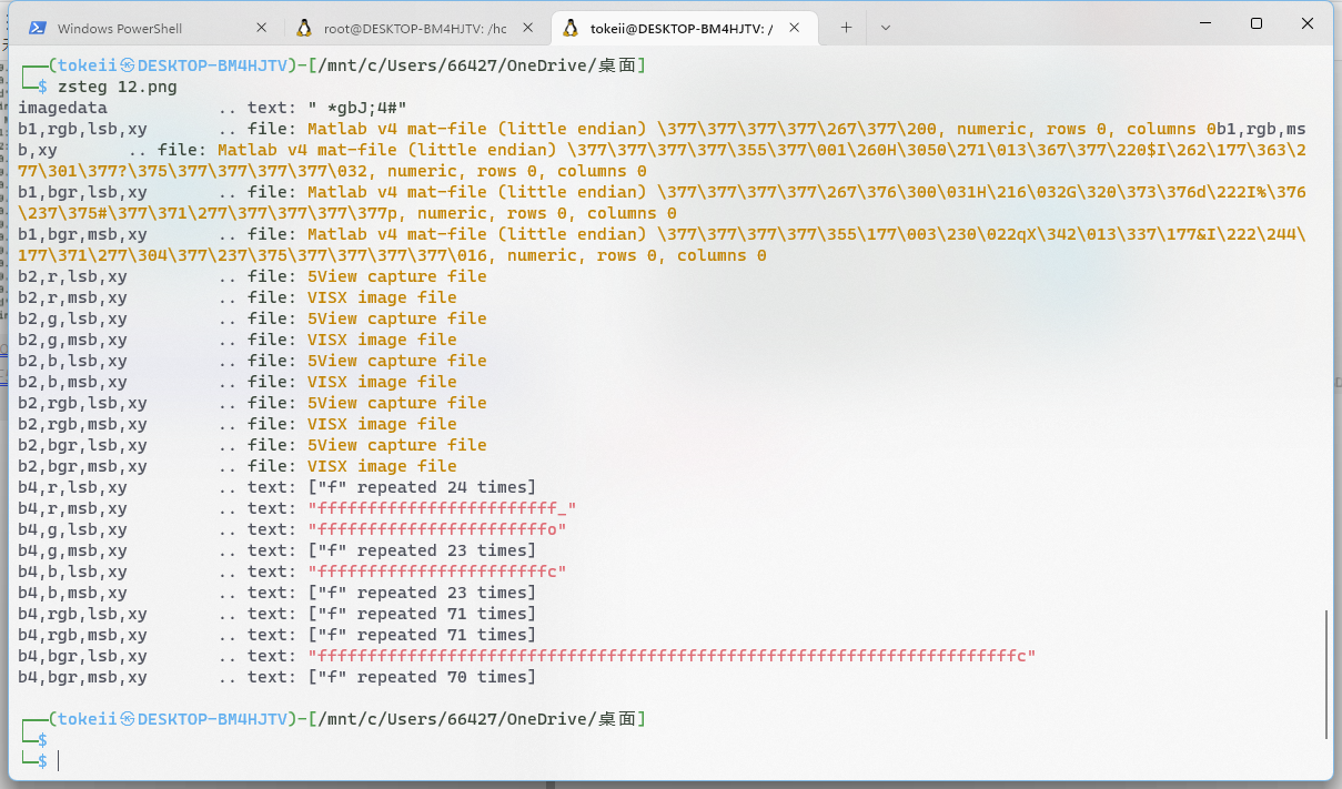 新装zsteg出现一下问题解决方法_zsteg报错CSDN博客