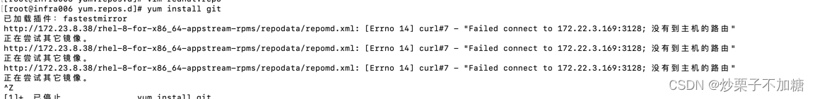 [外链图片转存失败,源站可能有防盗链机制,建议将图片保存下来直接上传(img-ciXtoH6R-1686574988206)(./imgs/yum安装软件包报错.png)]