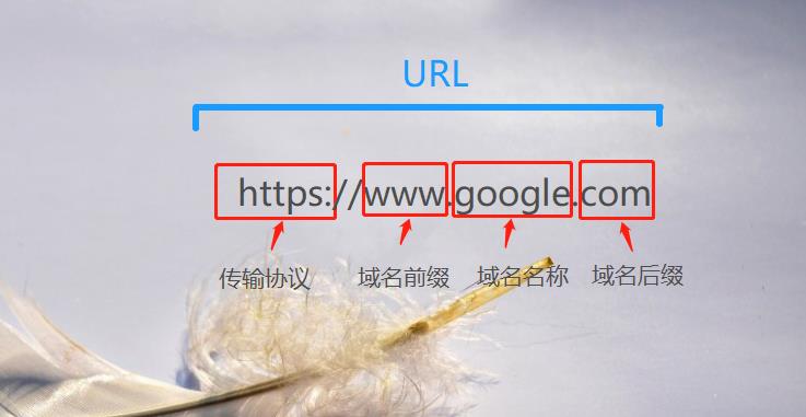 域名网站(域名网站有哪些)