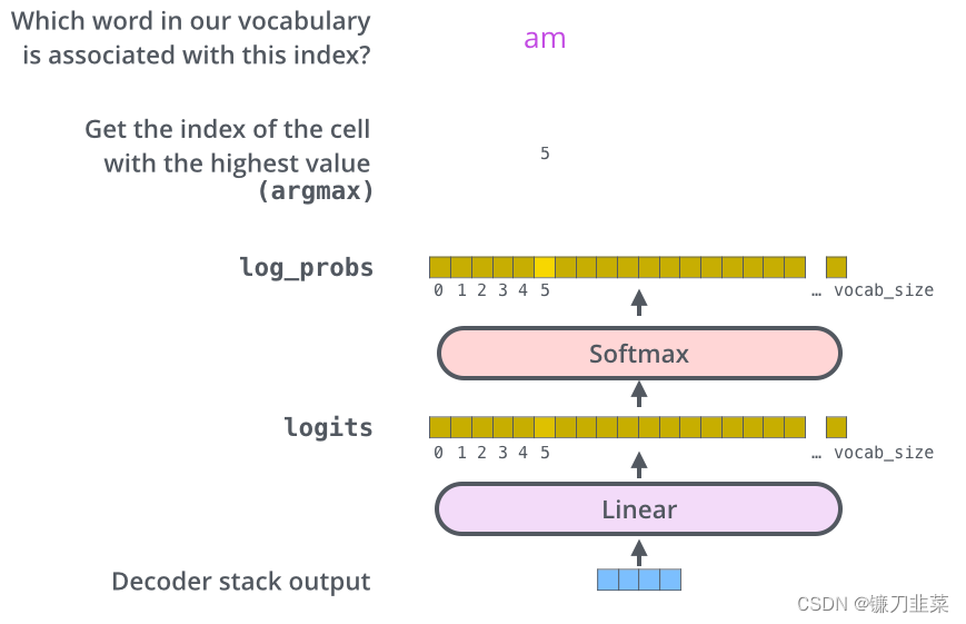 The Final Linear and Softmax Layer