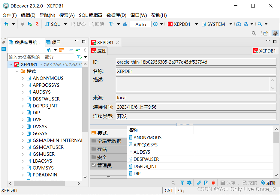 Oracle Database Express Edition (XE)配置与部署