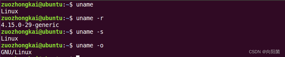 linux当中的shell常用命令
