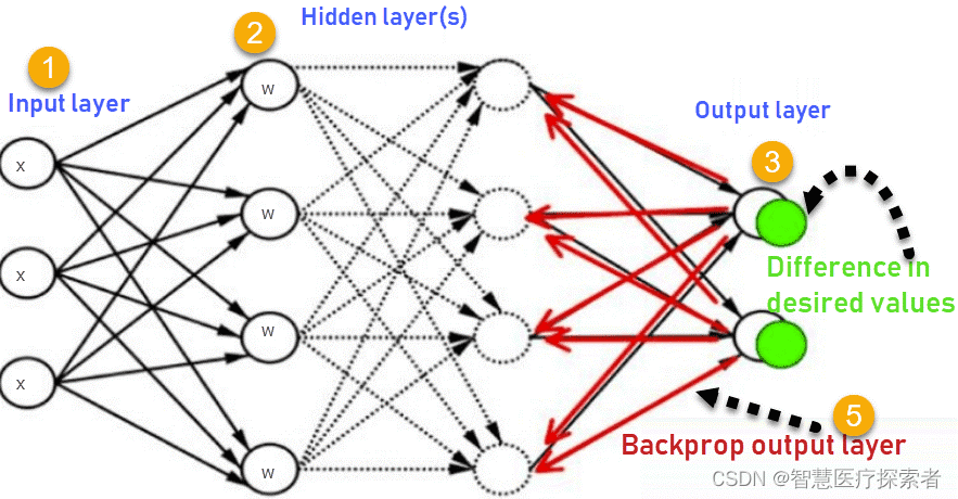 深度学习：模型训练过程中Trying to backward through the graph a second time解决方案