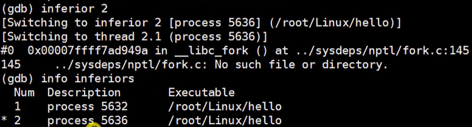 【Linux】GDB多进程调试