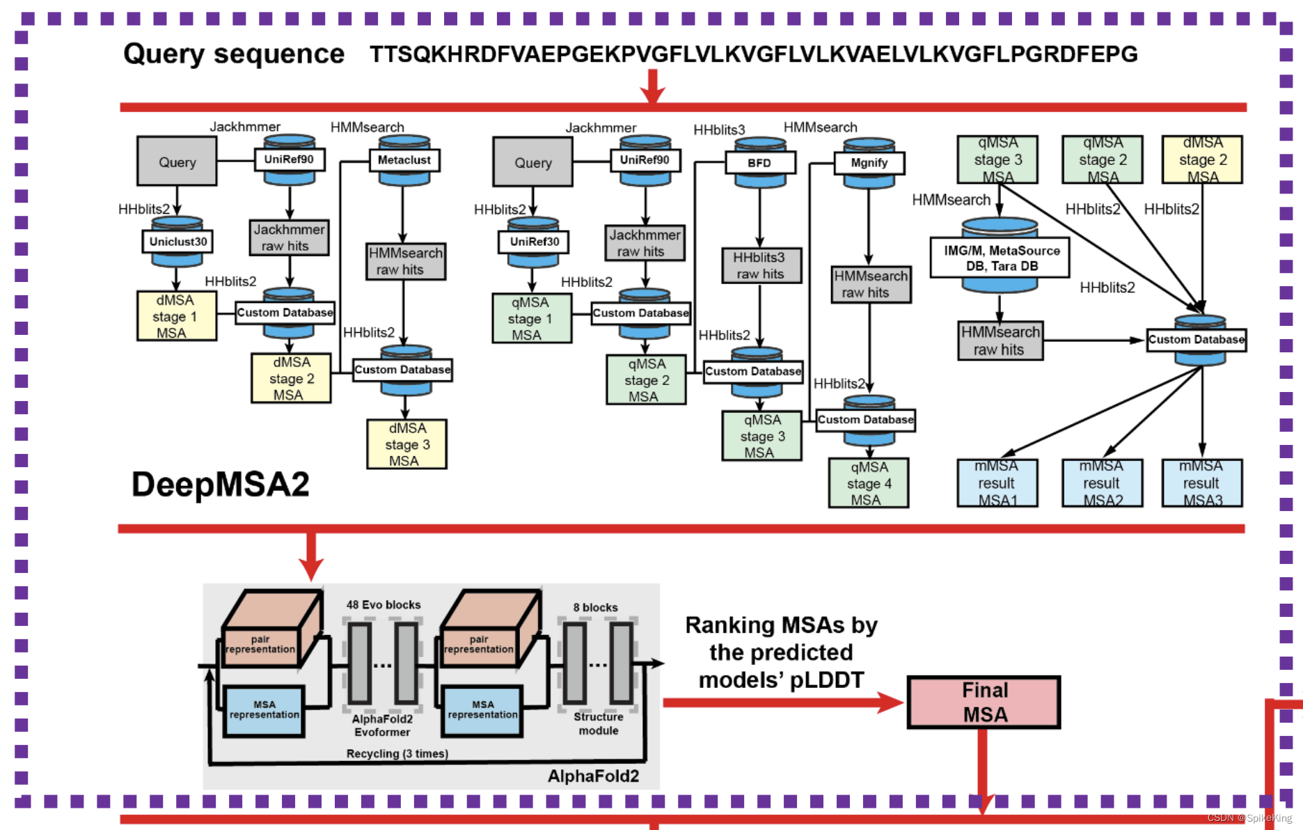 DeepMSA2