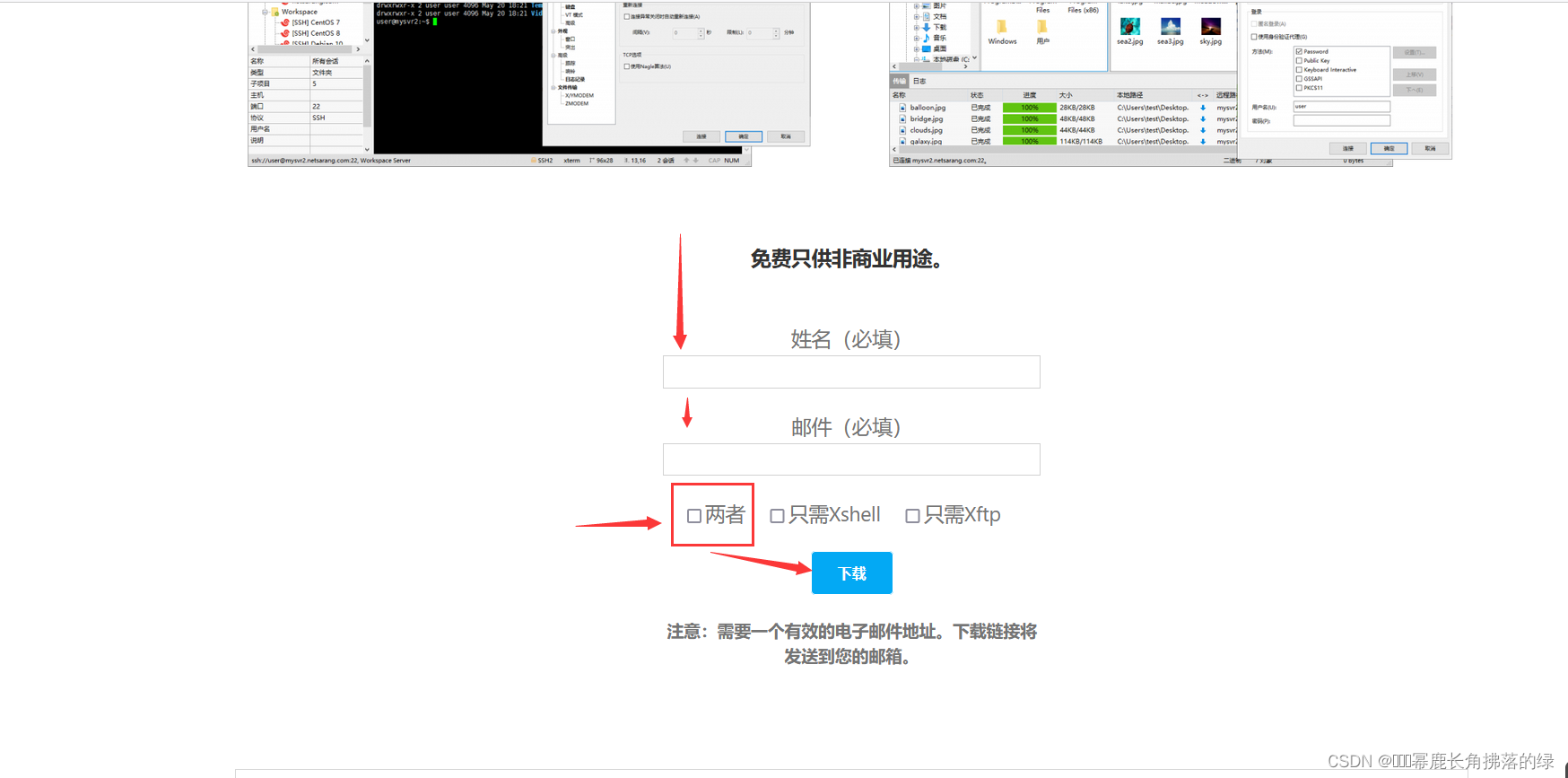 在这里插入图片描述