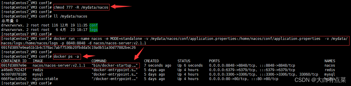 以挂卷自定义配置文件的方式运行新的 Nacos Server 容器