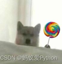 Python视频软件解析教程【源码可送】