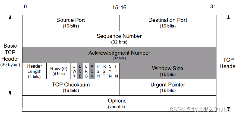 TCP首部