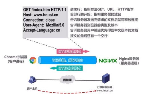 六、应用层（五）万维网（www）