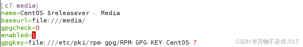 【CentOS7(Linux)保姆级详细安装过程】