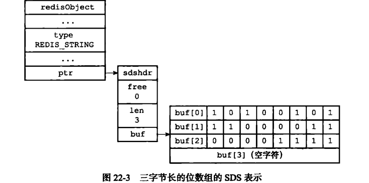 三字节长的 SDS 位数组