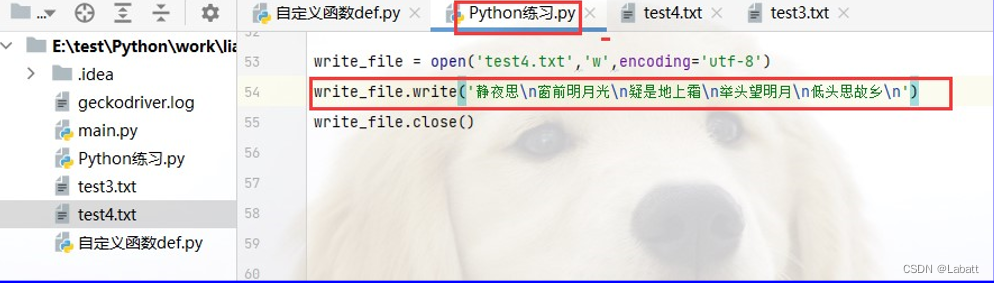 在这里插入图片描述