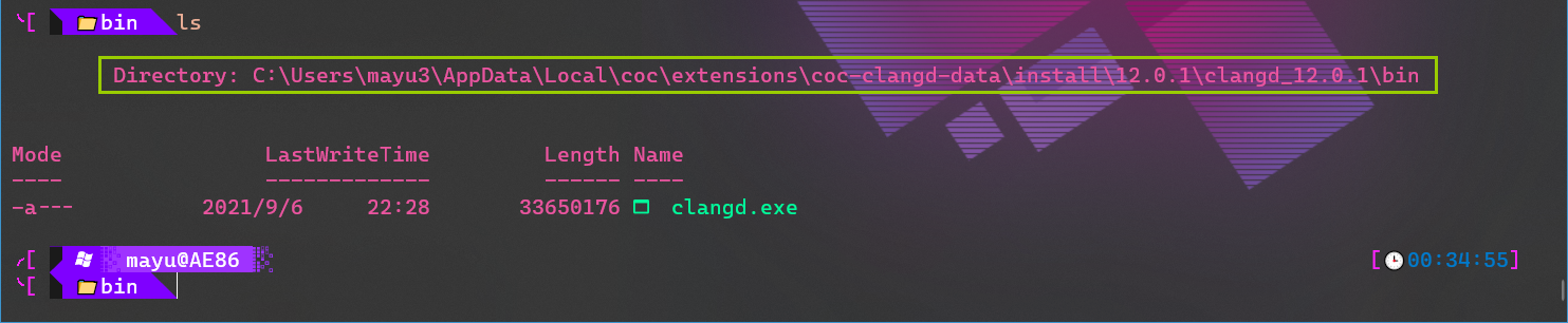 [coc.nvim] clangd was not found on your PATH. :CocCommand clangd.install will install 12.0.1.