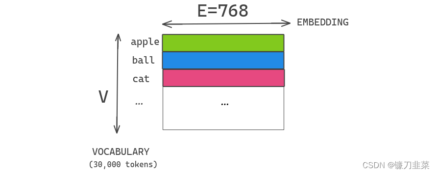 Vocabulary Embedding矩阵