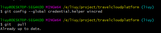 git config --global credential.helper wincred