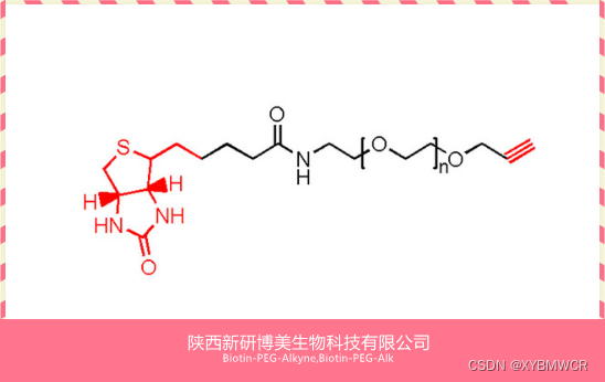 Alkyne-PEG-Biotin，Alk-PEG-Biotin，炔烃-聚乙二醇-生物素试剂供应