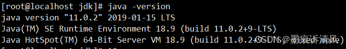 安装java11（ 安装jdk11）记录