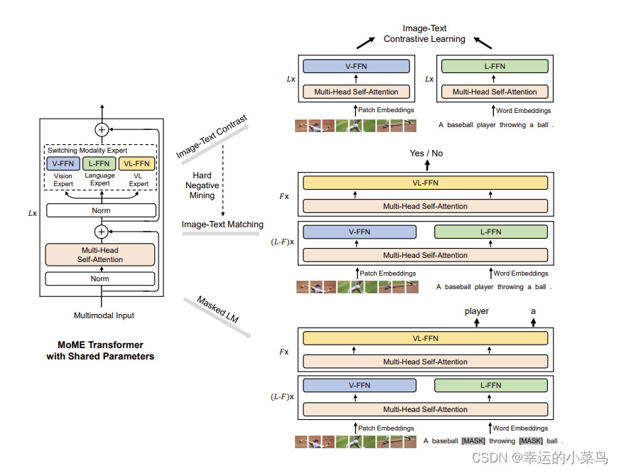 overview of the model