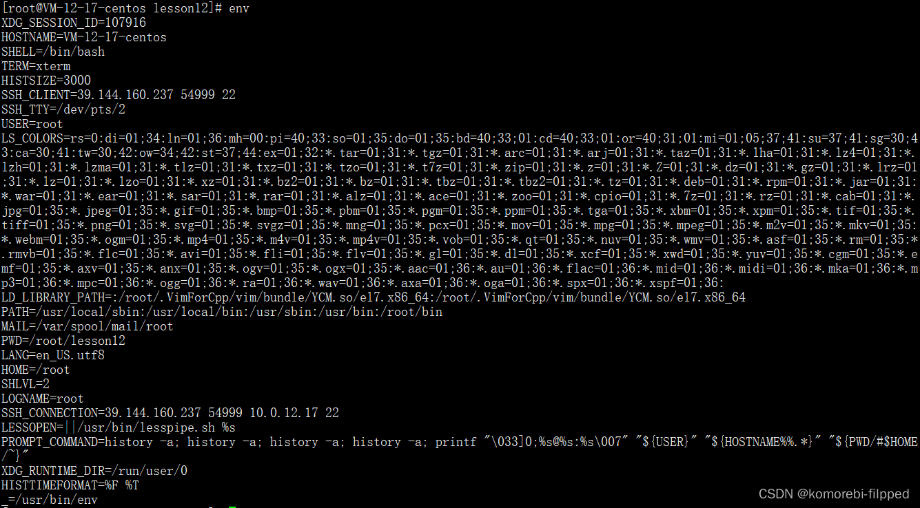 Linux环境变量