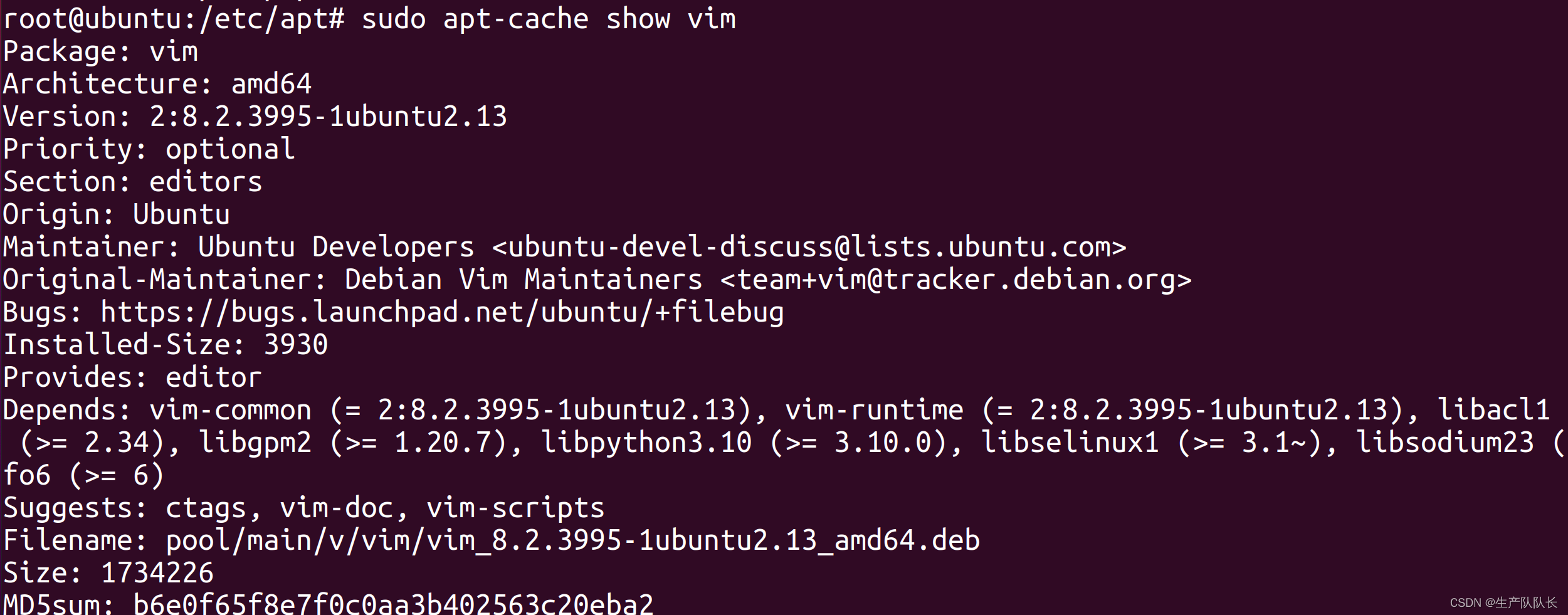 Linux：Ubuntu系统安装软件